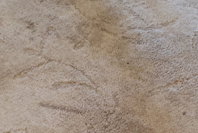 Signs it's time to replace your carpet