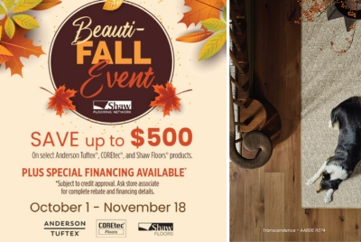 BeautiFall Sale