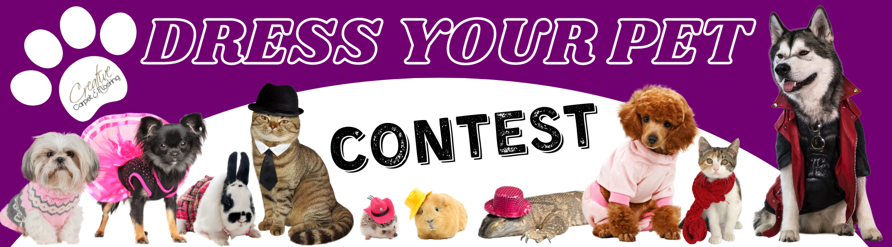 Dress Your Pet Contest